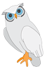 Cartoon Owl