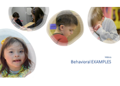 13. Behavioral Examples