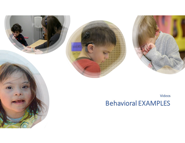 13. Behavioral Examples