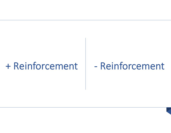 3. Reinforcement: Positive, Negative